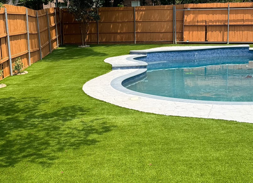 Before Backyard Turf Transformation